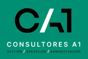 CA1 Consultores